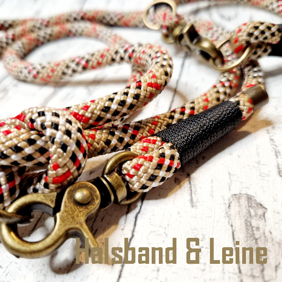 Halsband & Leine