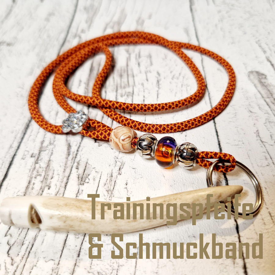 Trainingspfeife & Schmuckband