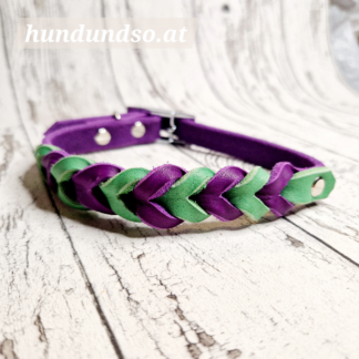 Hundehalsband Leder Violett Grün