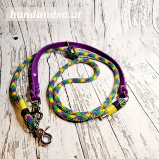 Hundeleine Seil Leder Donatello